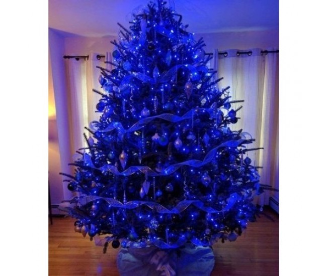 Instalatie Craciun, 55 m, 550 Led-uri ,Liniara, Albastru, 8 jocuri de lumini, Transformator, Interconectabila, Prelungitor 5 m inclus, Fir Verde, Flippy Instalatie Craciun, 55 m, 550 Led-uri ,Liniara, Albastru, 8 jocuri de lumini, Transformator, Interconectabila, Prelungitor 5 m inclus, Fir Verde, Flippy