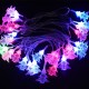 Ghirlanda luminoasa cu bec in forma de brazi, 3 metri, 20 LED-uri, forme din plastic, fir transparent, multicolora Ghirlanda luminoasa cu bec in forma de brazi, 3 metri, 20 LED-uri, forme din plastic, fir transparent, multicolora