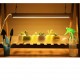 Lampa dubla pentru cresterea plantelor Flippy, 50 cm, T5, tehnologie LED, nu afecteaza plantele, potrivit pentru intregul ciclu de crestere, lumina alb calda Lampa dubla pentru cresterea plantelor Flippy, 50 cm, T5, tehnologie LED, nu afecteaza plantele, potrivit pentru intregul ciclu de crestere, lumina alb calda