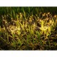 Lampa solara sub forma de artificii, 120 LED-uri, alb cald, Flippy Lampa solara sub forma de artificii, 120 LED-uri, alb cald, Flippy