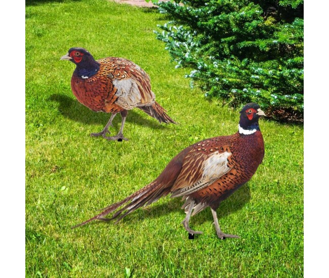 Set 2 Decoratiuni de Gradina, Flippy, Model Fazani, Tip Placa, Grosime 3 mm, Fata-Verso, Multicolor Set 2 Decoratiuni de Gradina, Flippy, Model Fazani, Tip Placa, Grosime 3 mm, Fata-Verso, Multicolor