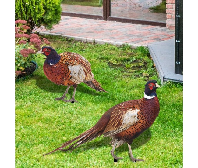 Set 2 Decoratiuni de Gradina, Flippy, Model Fazani, Tip Placa, Grosime 3 mm, Fata-Verso, Multicolor Set 2 Decoratiuni de Gradina, Flippy, Model Fazani, Tip Placa, Grosime 3 mm, Fata-Verso, Multicolor