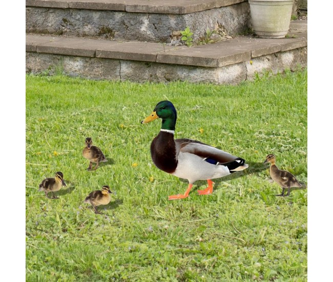 Set 2 Decoratiuni de Gradina, Flippy, Model Rata, Tip Placa, Grosime 3 mm, Fata-Verso, Multicolor Set 2 Decoratiuni de Gradina, Flippy, Model Rata, Tip Placa, Grosime 3 mm, Fata-Verso, Multicolor