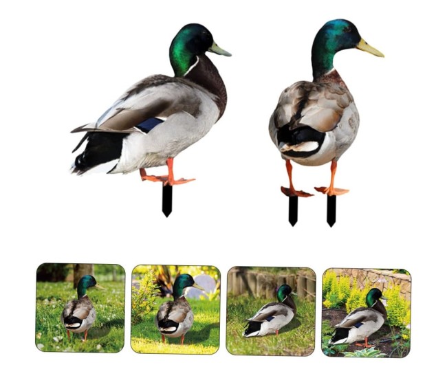 Set 2 Decoratiuni de Gradina, Flippy, Model Rata, Tip Placa, Grosime 3 mm, Fata-Verso, Multicolor Set 2 Decoratiuni de Gradina, Flippy, Model Rata, Tip Placa, Grosime 3 mm, Fata-Verso, Multicolor