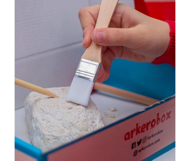 Arkerobox - set arheologic educational si puzzle 3d, gobekli tepe Arkerobox - set arheologic educational si puzzle 3d, gobekli tepe