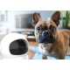 Neno orso – camera video profesionala wi-fi cu conectare pe telefon Neno orso – camera video profesionala wi-fi cu conectare pe telefon