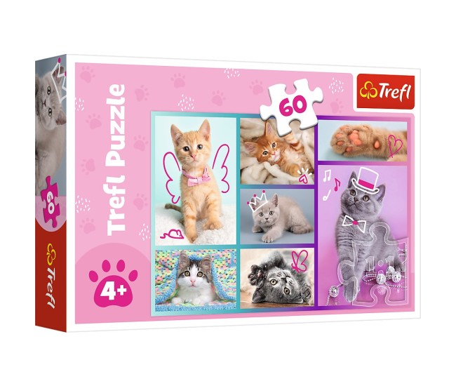 Puzzle trefl 60 pisicute dragute Puzzle trefl 60 pisicute dragute