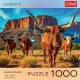 Puzzle trefl 1000 colectia sua longhorns poster inclus Puzzle trefl 1000 colectia sua longhorns poster inclus