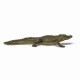 Papo figurina aligator Papo figurina aligator