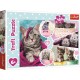 Puzzle trefl 160 pisici dragalase Puzzle trefl 160 pisici dragalase