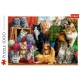 Puzzle trefl 1000 intalnirea pisicutelor Puzzle trefl 1000 intalnirea pisicutelor