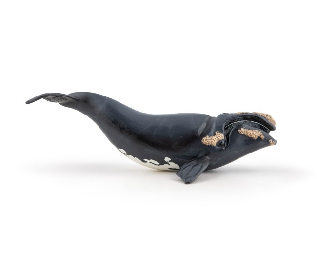 Papo figurina balena Papo figurina balena