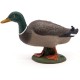 Papo figurina rata mallard Papo figurina rata mallard