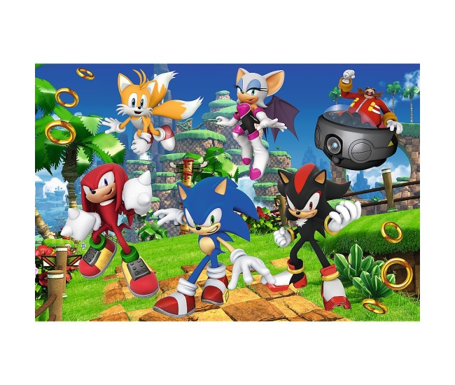 Puzzle trefl 160 sonic si prietenii Puzzle trefl 160 sonic si prietenii