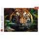 Puzzle trefl 1000 tigru salbatic Puzzle trefl 1000 tigru salbatic