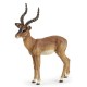 Papo figurina impala Papo figurina impala