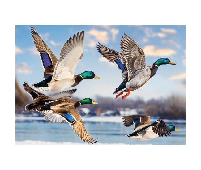 Puzzle trefl 1000 premium plus rate salbatice in zbor Puzzle trefl 1000 premium plus rate salbatice in zbor