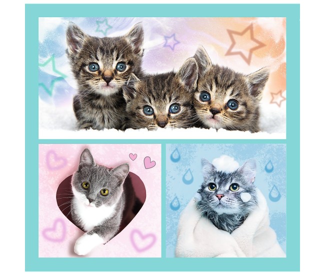 Puzzle trefl 3in1 pisicutele dragalase Puzzle trefl 3in1 pisicutele dragalase