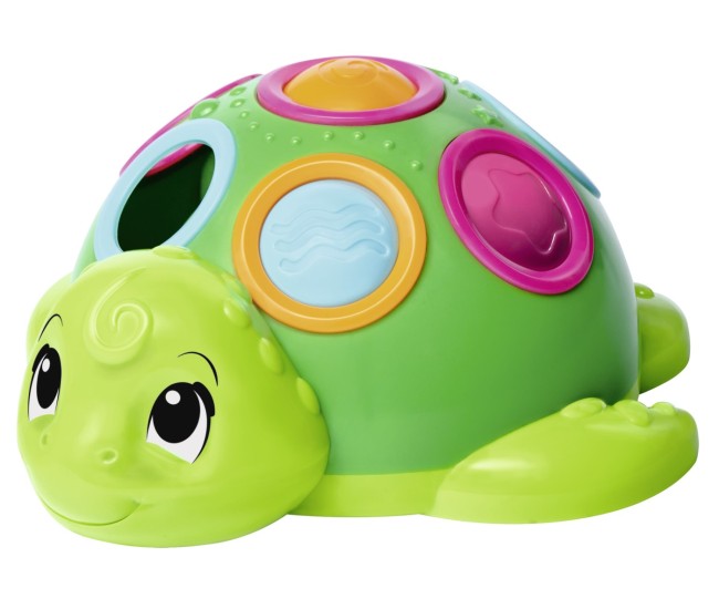 Abc broscuta testoasa