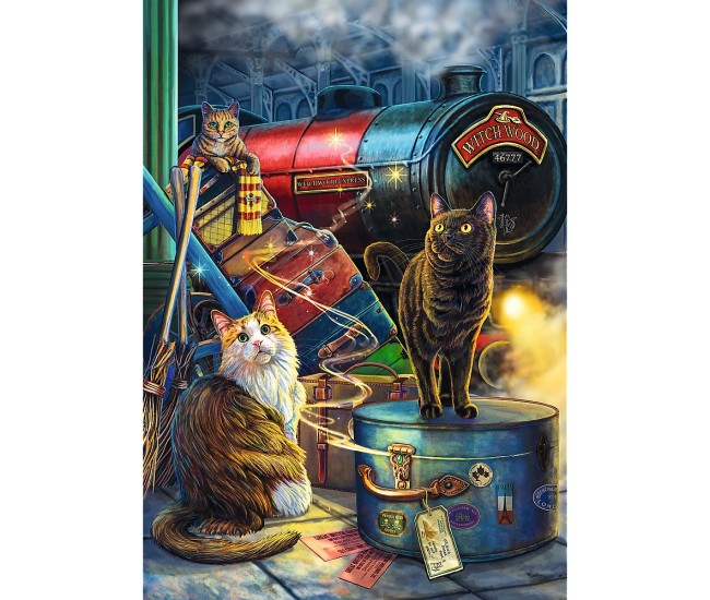 Puzzle trefl 1000 premium plus expresul vrajitor Puzzle trefl 1000 premium plus expresul vrajitor