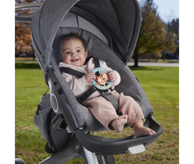 Fisher price jucarie zornaitoare salamandra
