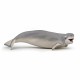 Papo figurina balena beluga Papo figurina balena beluga