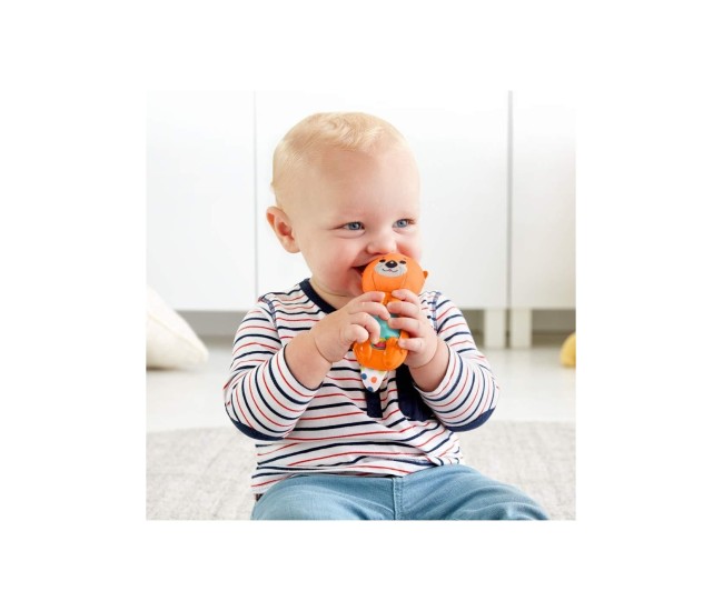 Fisher price jucarii zornaitoare vidra Fisher price jucarii zornaitoare vidra