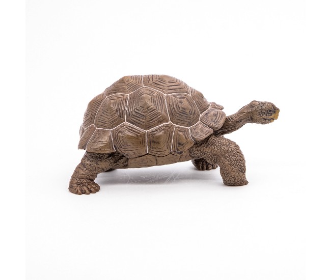 Papo figurina testoasa galapagos