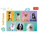 Puzzle trefl 100 in lumea cateilor Puzzle trefl 100 in lumea cateilor