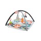 Fisher price saltea muzicala 3 in 1 cu centru de activitati
