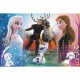 Puzzle trefl 300 disney frozen 2 magia Puzzle trefl 300 disney frozen 2 magia