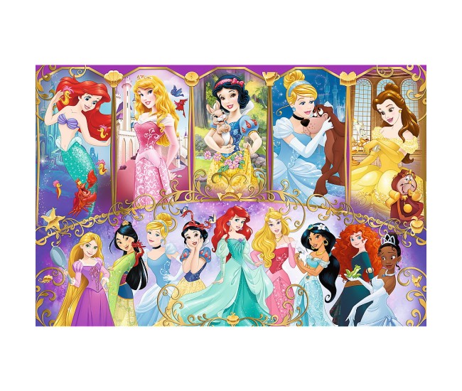 Puzzle 160 portretele printeselor Puzzle 160 portretele printeselor