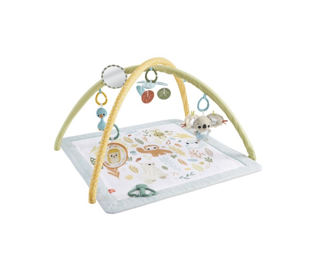 Fisher price salteluta de activitati Fisher price salteluta de activitati
