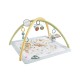 Fisher price salteluta de activitati Fisher price salteluta de activitati