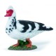 Papo figurina rata domestica Papo figurina rata domestica