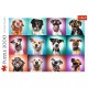 Puzzle trefl 2000 catelusii amuzanti Puzzle trefl 2000 catelusii amuzanti