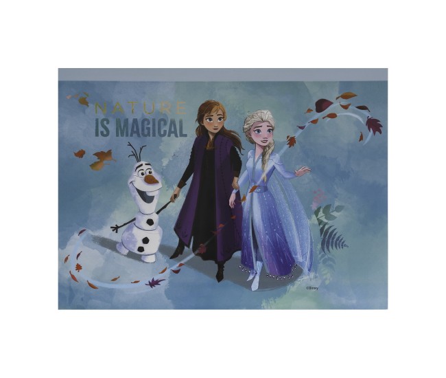 Set desen gentuta de creatie frozen Set desen gentuta de creatie frozen