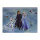 Set desen gentuta de creatie frozen Set desen gentuta de creatie frozen