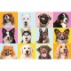 Puzzle trefl 60 catei draguti Puzzle trefl 60 catei draguti