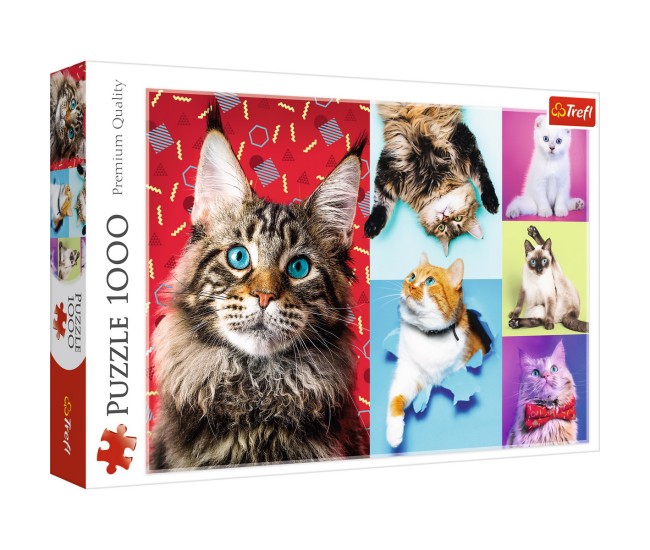 Puzzle trefl 1000 pisicute fericite Puzzle trefl 1000 pisicute fericite