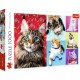 Puzzle trefl 1000 pisicute fericite Puzzle trefl 1000 pisicute fericite