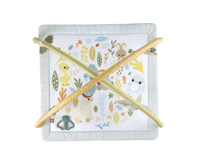 Fisher price salteluta de gimnastica pentru nou nascuti