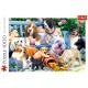 Puzzle trefl 1000 caini in gradina Puzzle trefl 1000 caini in gradina