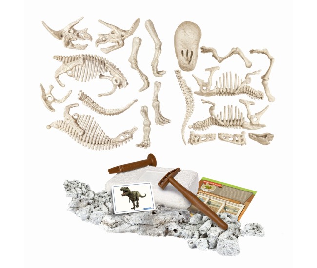 Descopera dinozaurul t-rex & triceraptor fluo stiinta si joaca Descopera dinozaurul t-rex & triceraptor fluo stiinta si joaca