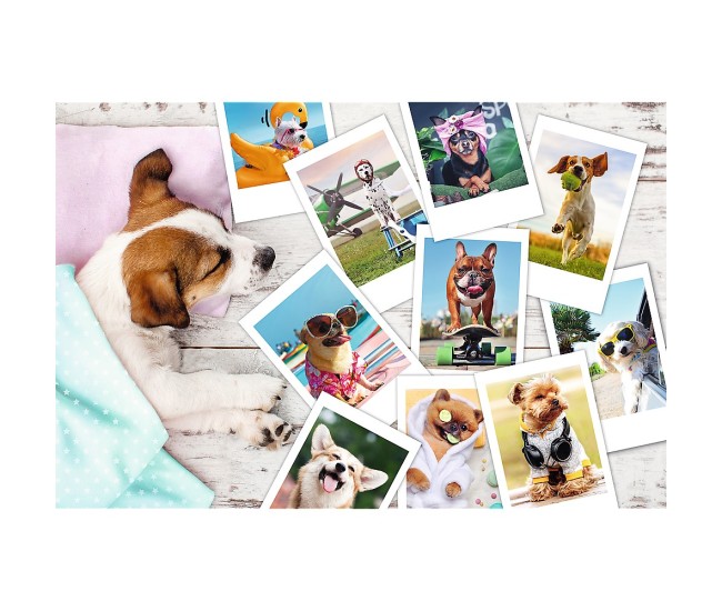 Puzzle trefl 300 poze din vacanta Puzzle trefl 300 poze din vacanta