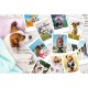 Puzzle trefl 300 poze din vacanta Puzzle trefl 300 poze din vacanta