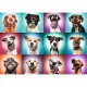 Puzzle trefl 2000 catelusii amuzanti Puzzle trefl 2000 catelusii amuzanti