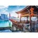 Puzzle trefl 1000 chongqping china Puzzle trefl 1000 chongqping china