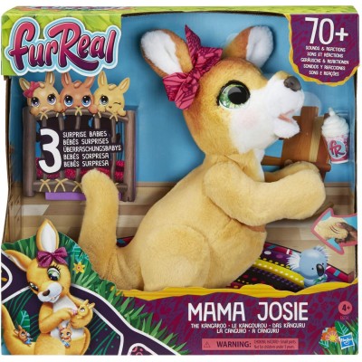 Mama josie the kangaroo Mama josie the kangaroo