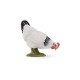 Papo figurina gaina alba Papo figurina gaina alba